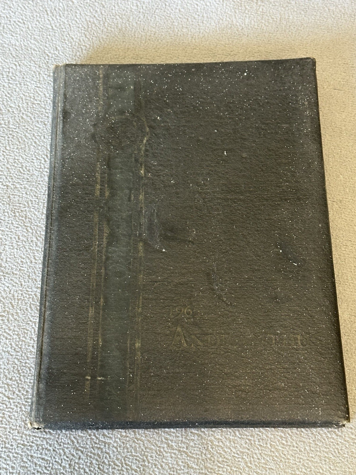 Andrew College Andranthus 1965 Yearbook Cuthbert, Georgia