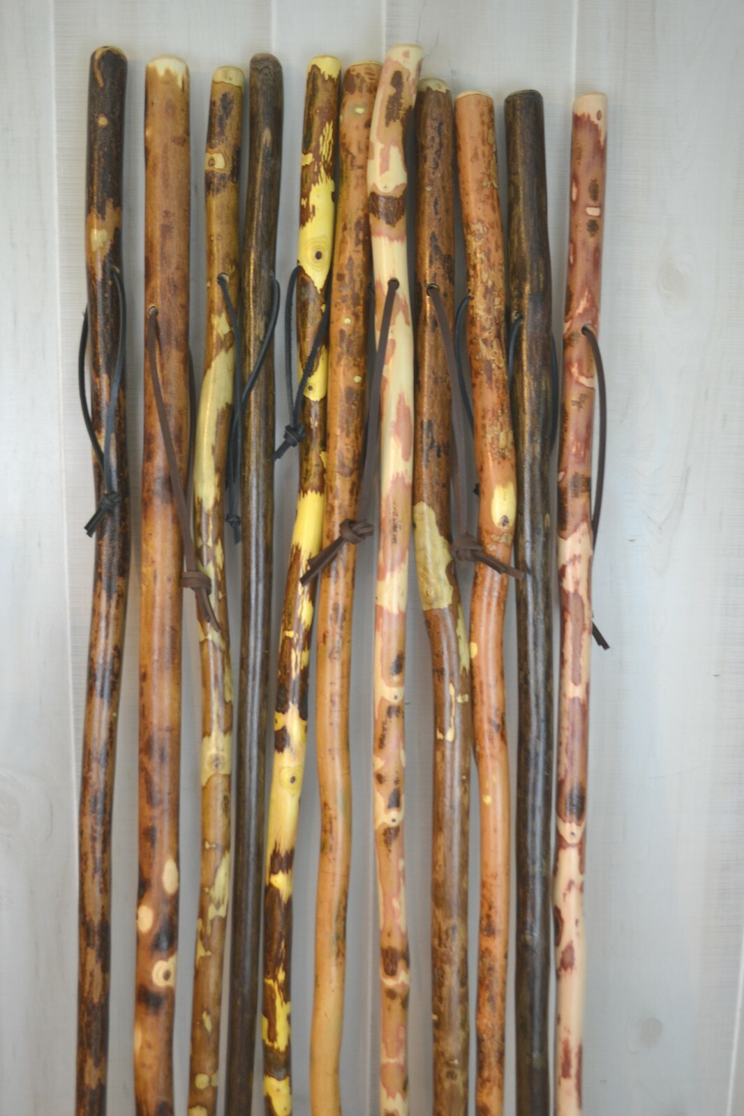 Tall Walking Sticks 48