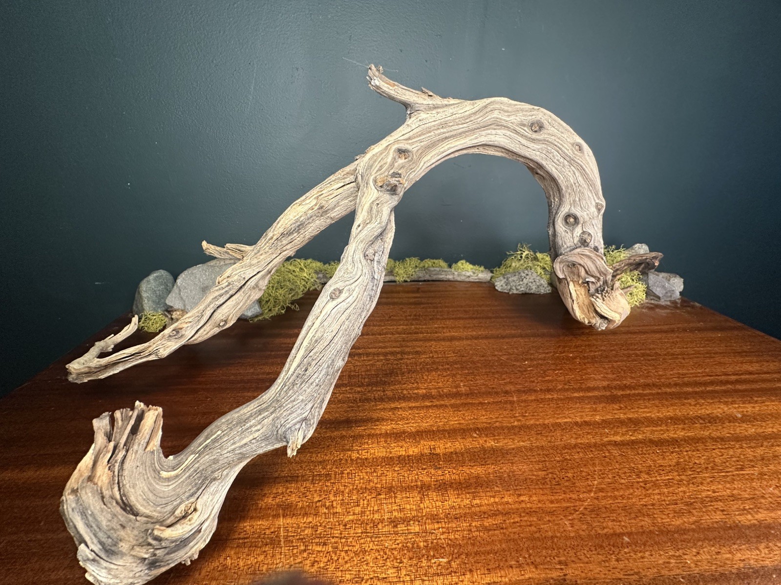XL 27” Manzanita Driftwood Branch, Aquarium, Terrarium, Aquascape ,Home Decor XL 27” Manzanita Driftwood Branch, Aquarium, Terrarium, Aquascape ,Home Decor