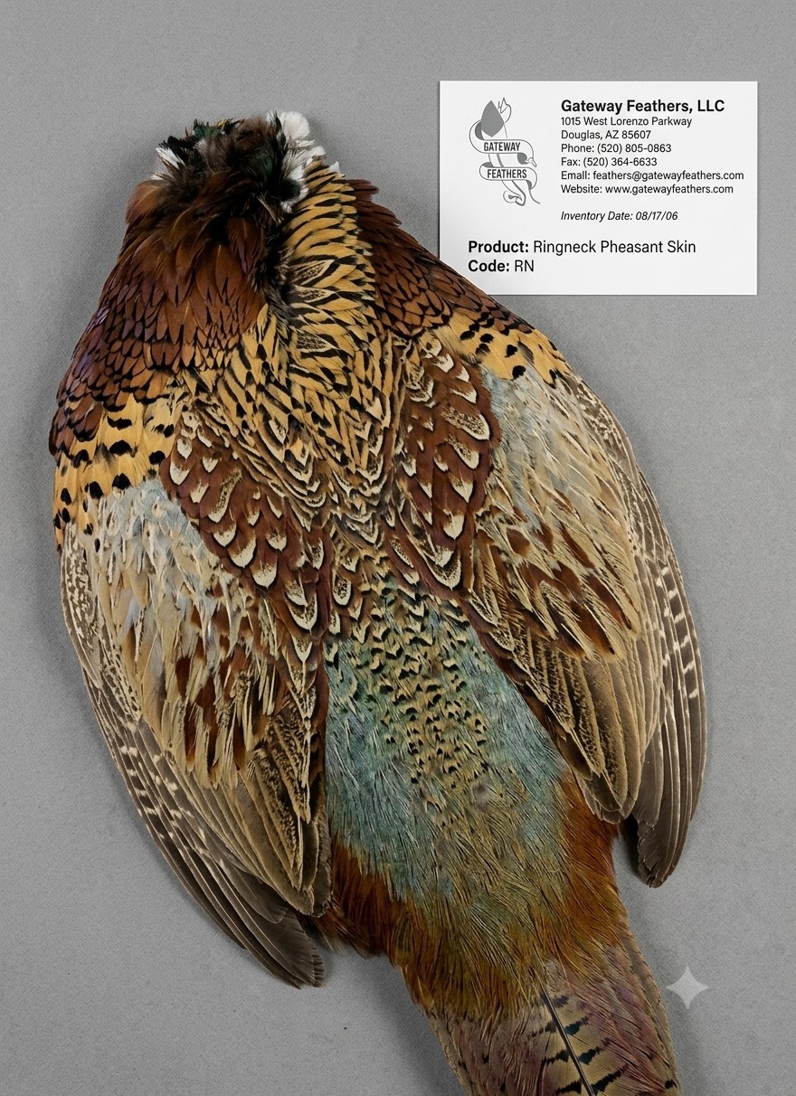 1 Piece - Complete Natural Ringneck Pheasant Skin Pelt 1 Piece - Complete Natural Ringneck Pheasant Skin Pelt