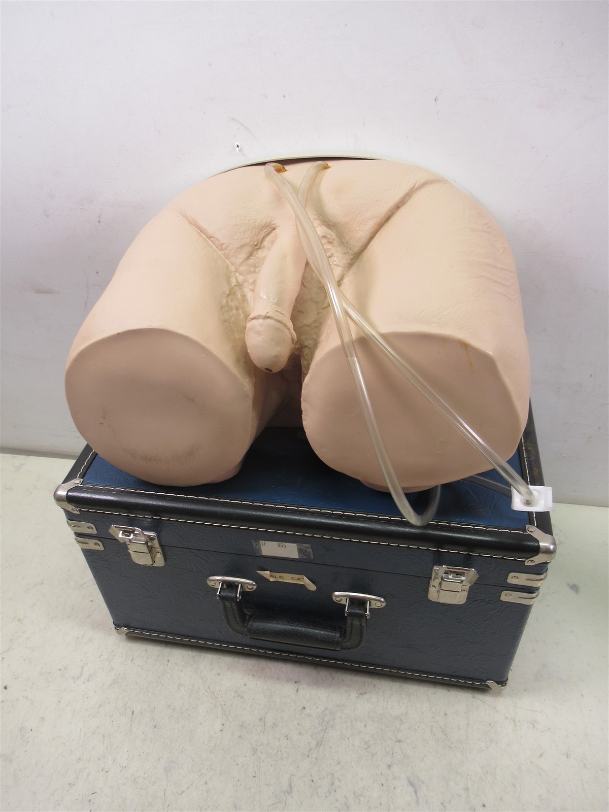 Male Catheterization Simulator NASCO Life Form Simulator LF855-8090 in Case