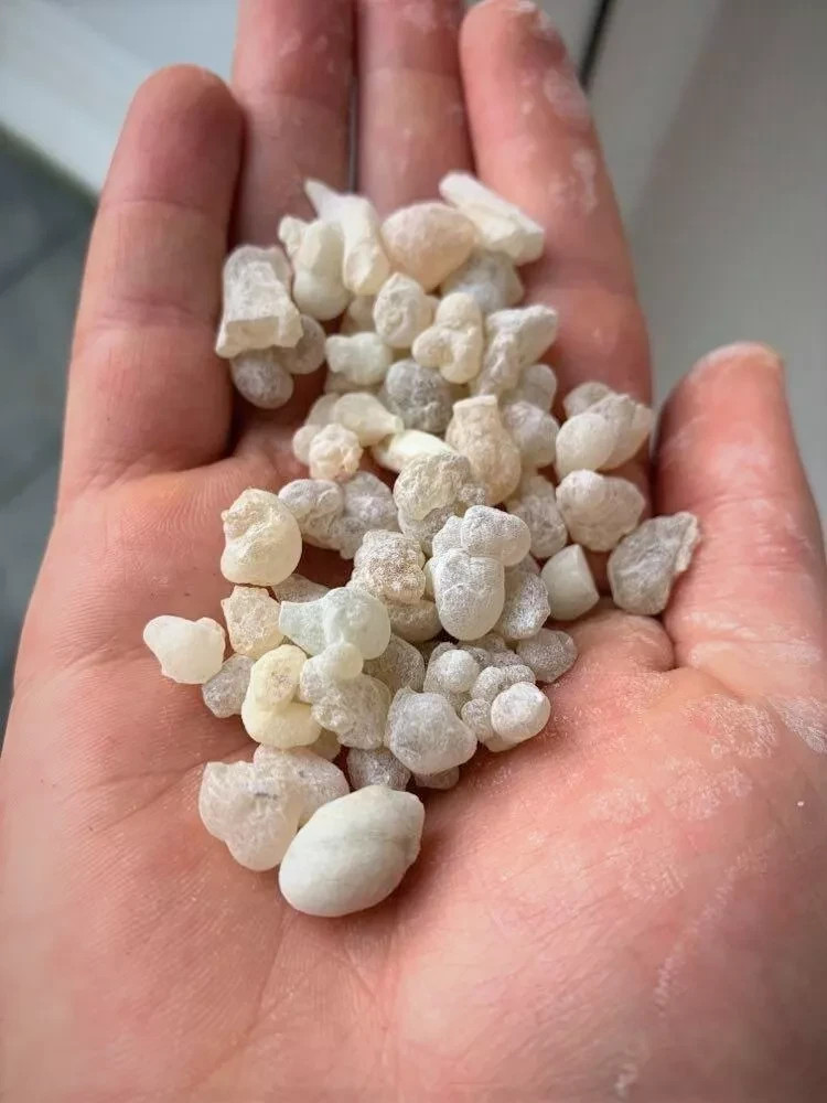 Royal Green Hojari - Boswellia Sacra - Incense Resin from Oman
