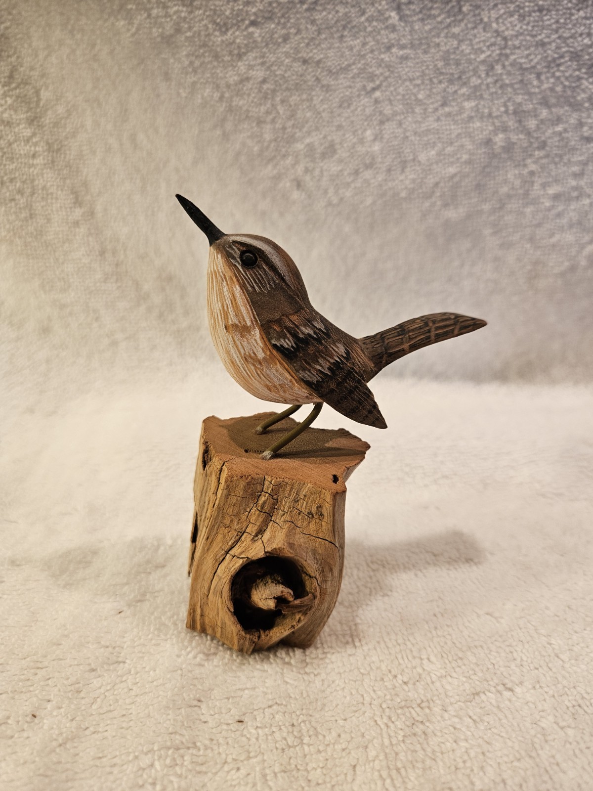 Eugene Ownby Carolina Wren Signed And Dated 9 01