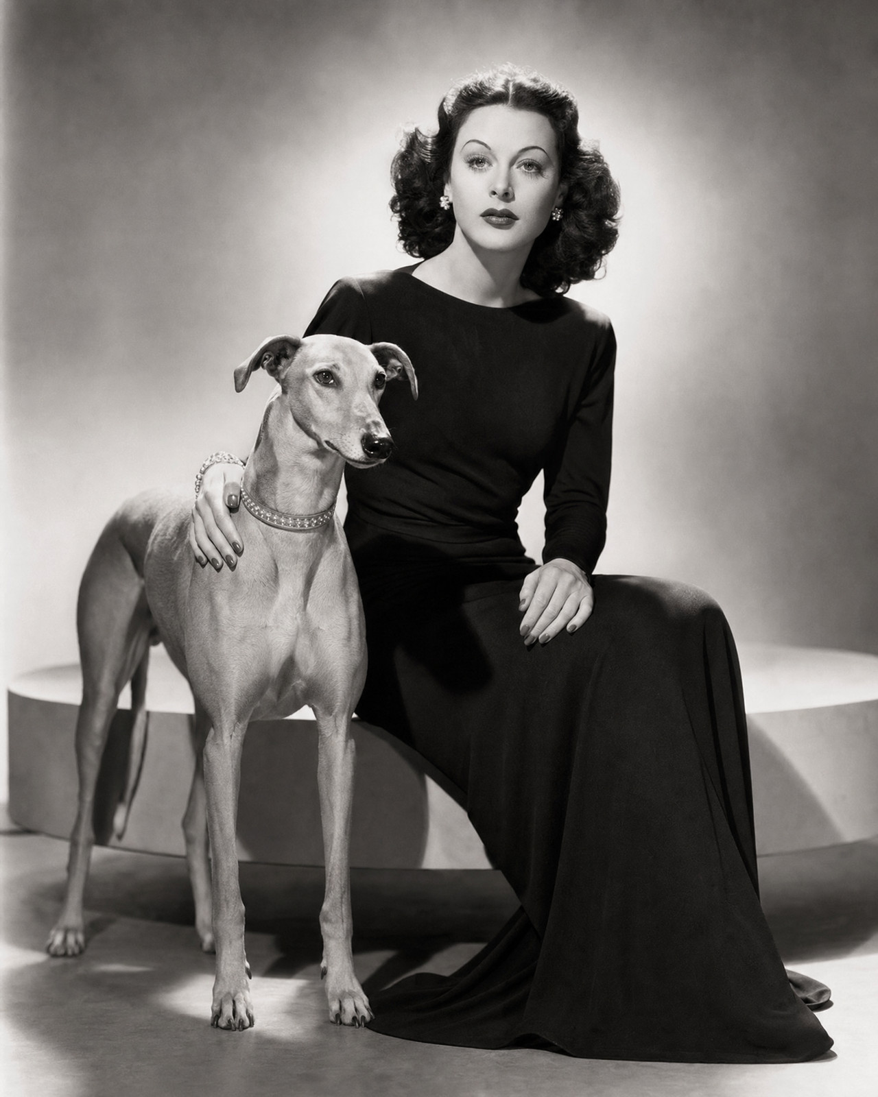 Hedy Lamarr Greyhound Companion Vintage Portrait Art/394407347