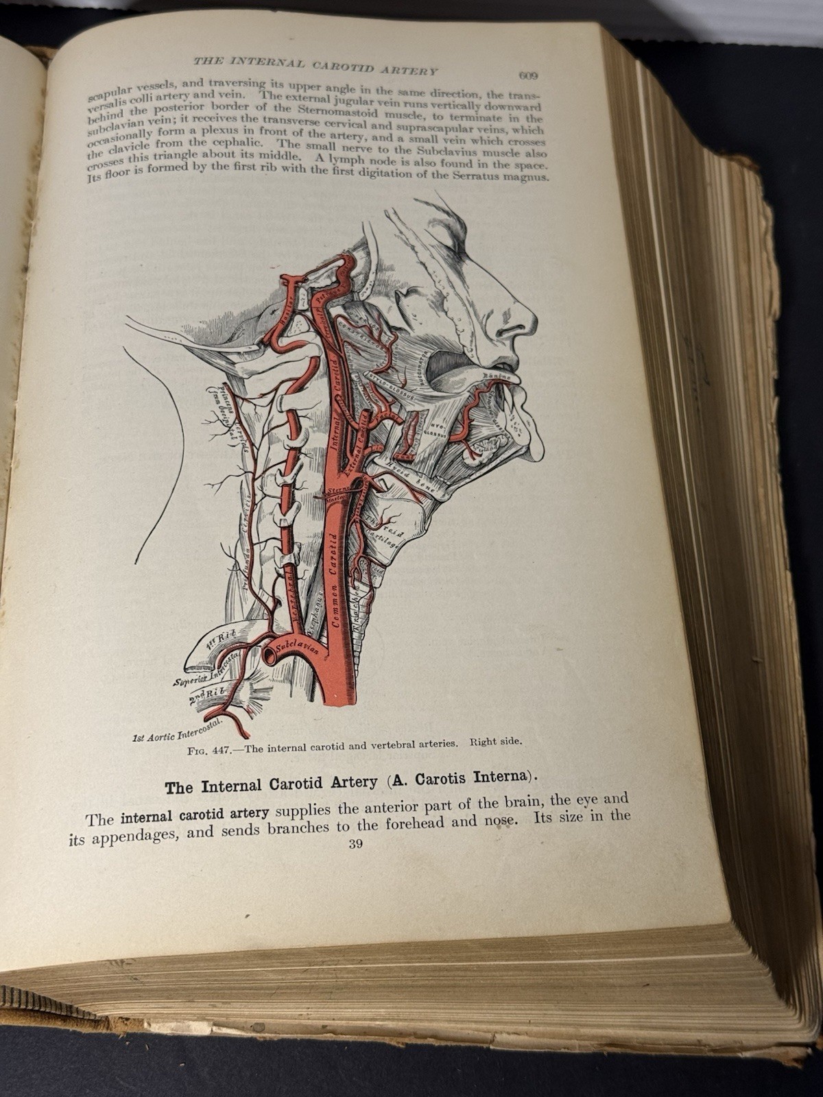 Gray\'s Anatomy 1910 Spitzka Antique Medical Book Colored Plates Rare 18th Ed. Gray\'s Anatomy 1910 Spitzka Antique Medical Book Colored Plates Rare 18th Ed.