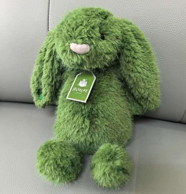Jellycat Blathnaid Green Bunny Ireland Exclusive Gifts NWT With Dust Bag Jellycat Blathnaid Green Bunny Ireland Exclusive Gifts NWT With Dust Bag