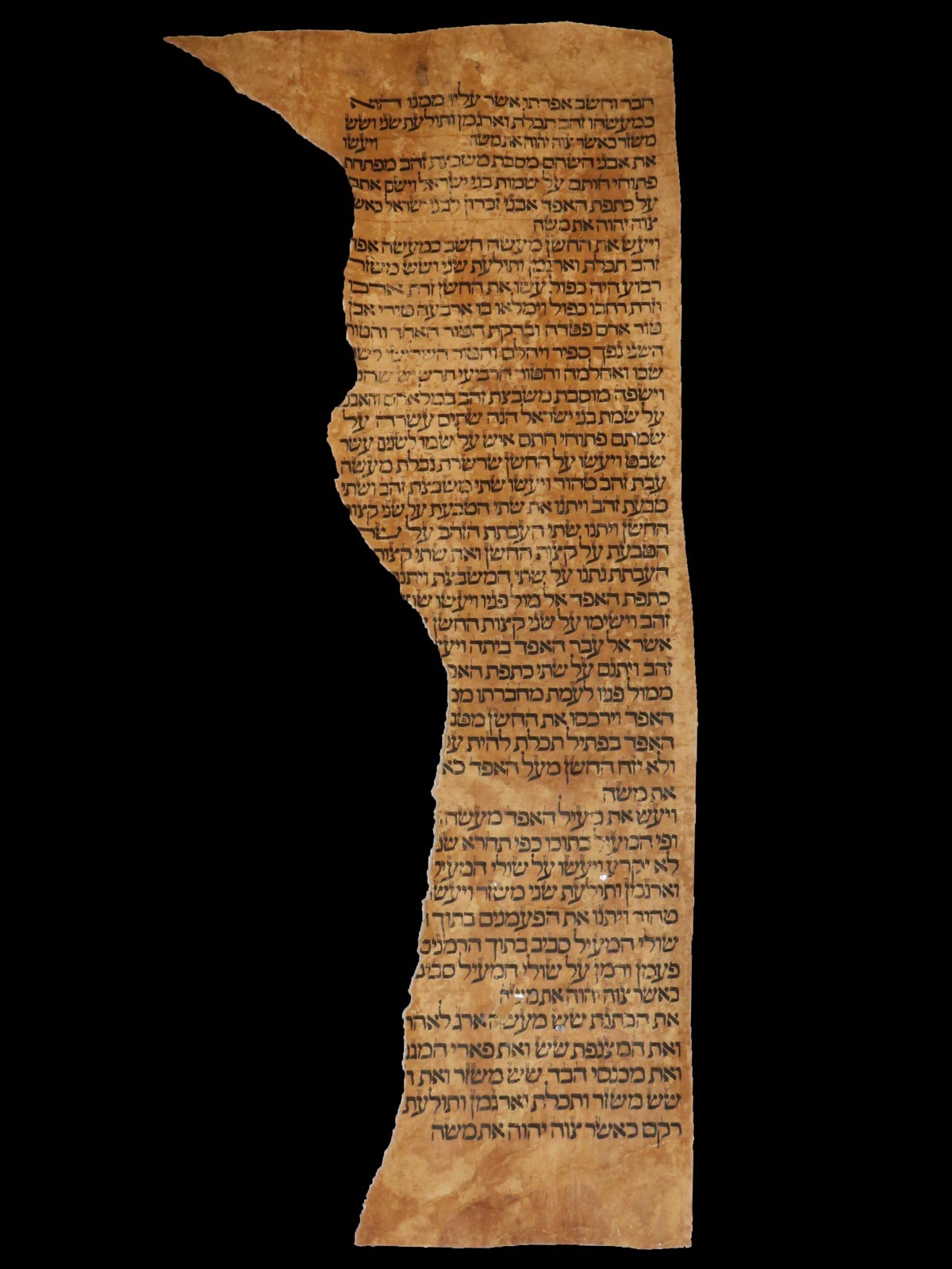 Rare 15th Century Spanish Torah Scroll Fragment - Pre-Expulsion - Deer Parchment