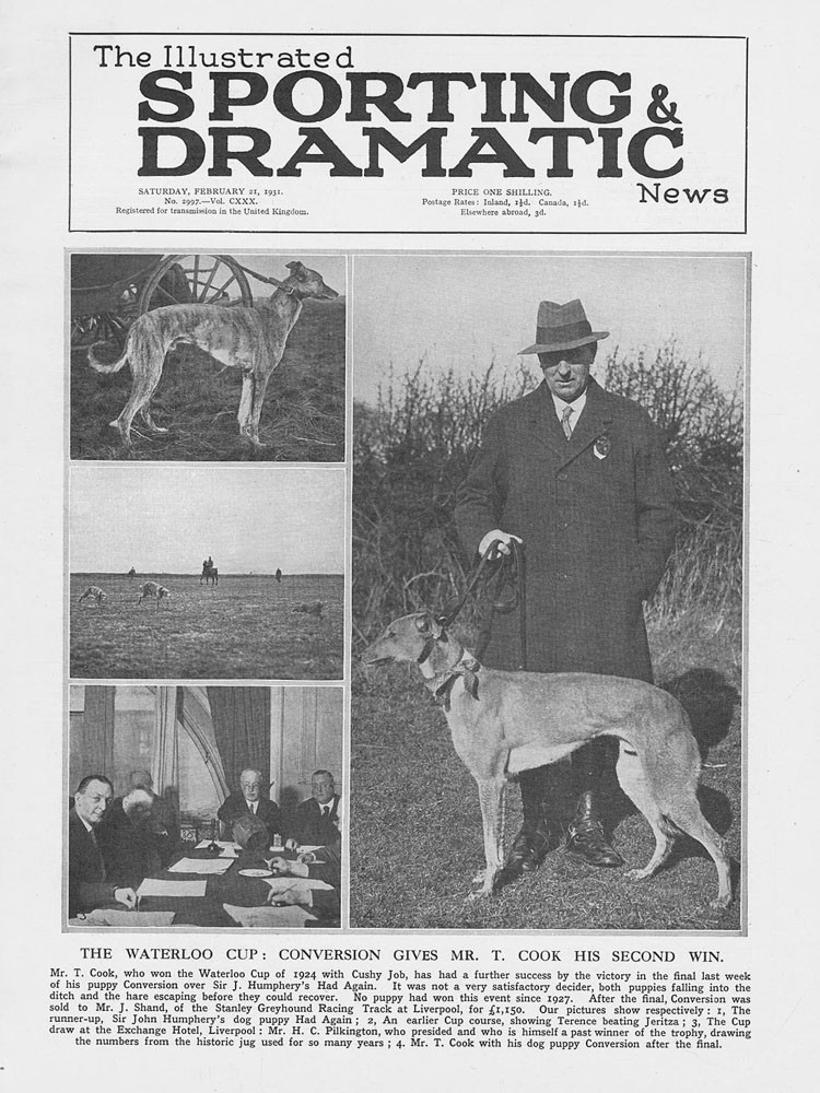 COURSING Mr T Cook & \'Conversion\' Winner of the Waterloo Cup Vintage Print 1931