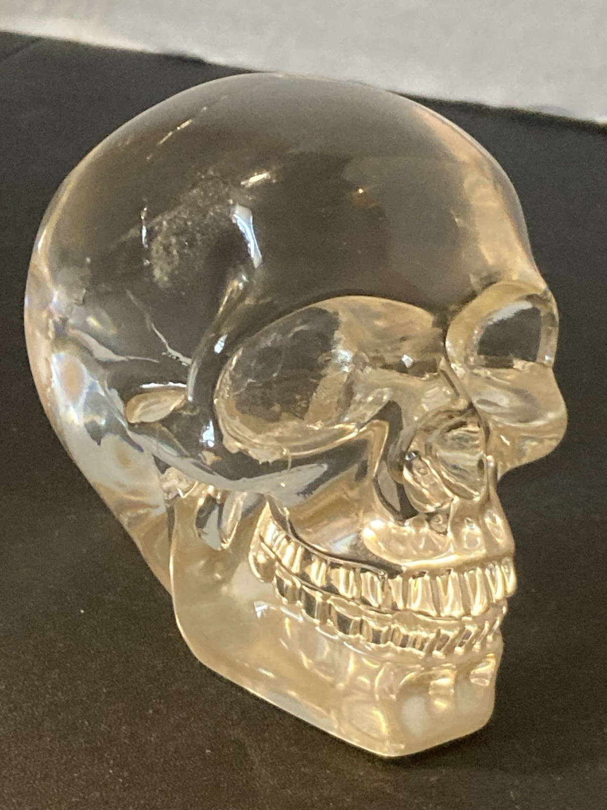 Translucent Human Clear Resin Skull, Summito 2011 Oddities, Gothic Decor Translucent Human Clear Resin Skull, Summito 2011 Oddities, Gothic Decor