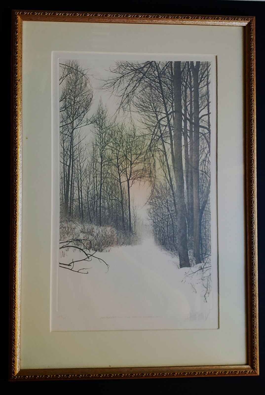 FRANKLIN GALAMBOS Stunning Hand Tinted Original Etching SIGNED Ltd. Ed. Framed