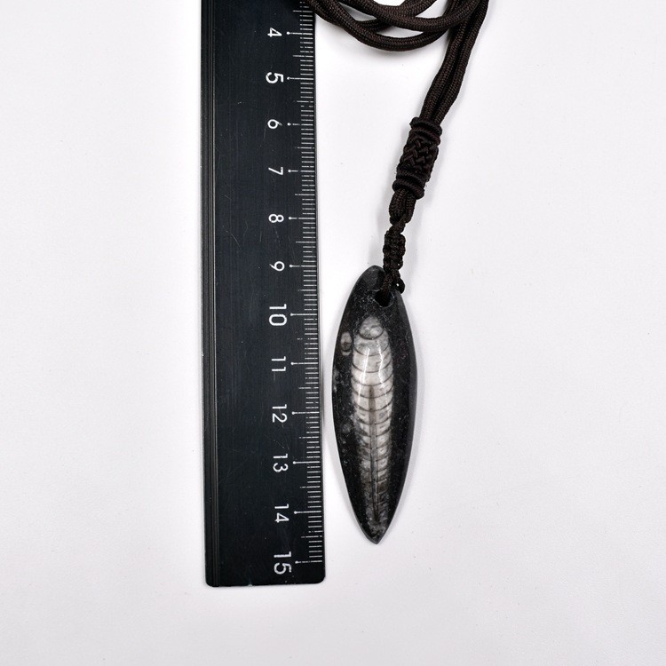 5-- 6cm Natural Stone Fossil Pendant Necklace Gift  Accessory 1pc