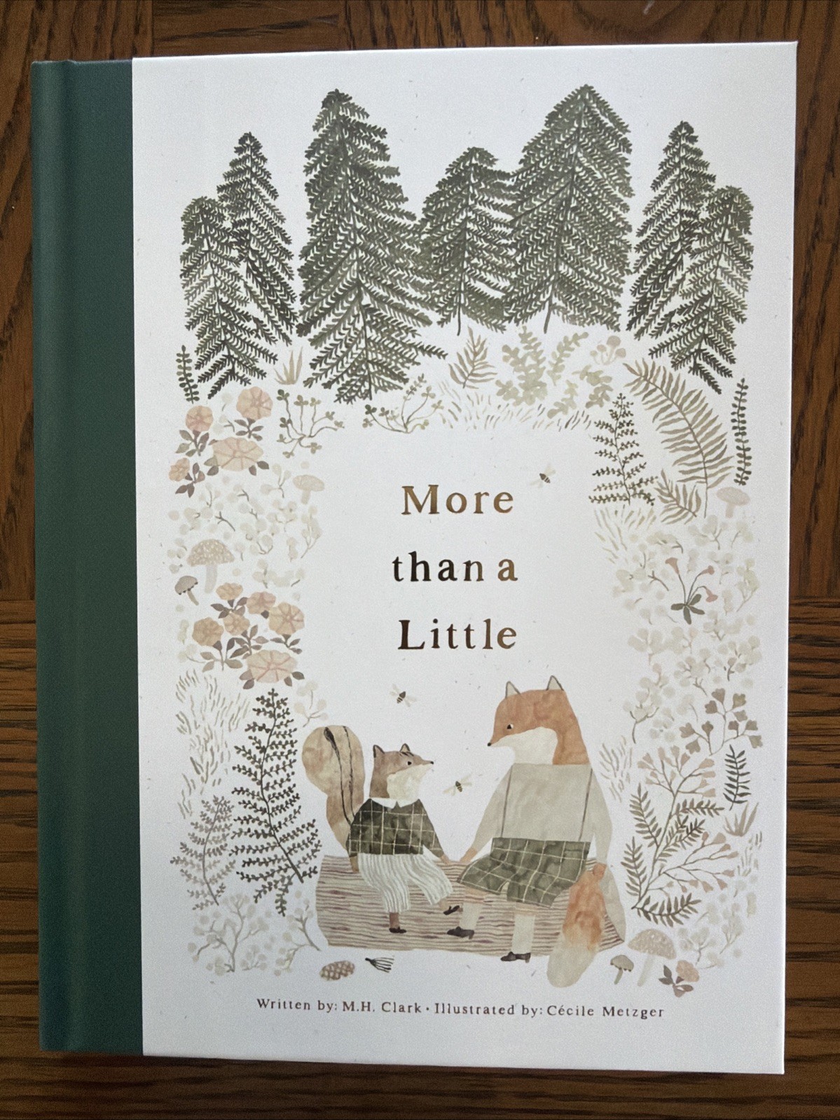 More Than a Little - hardcover, MH Clark More Than a Little - hardcover, MH Clark