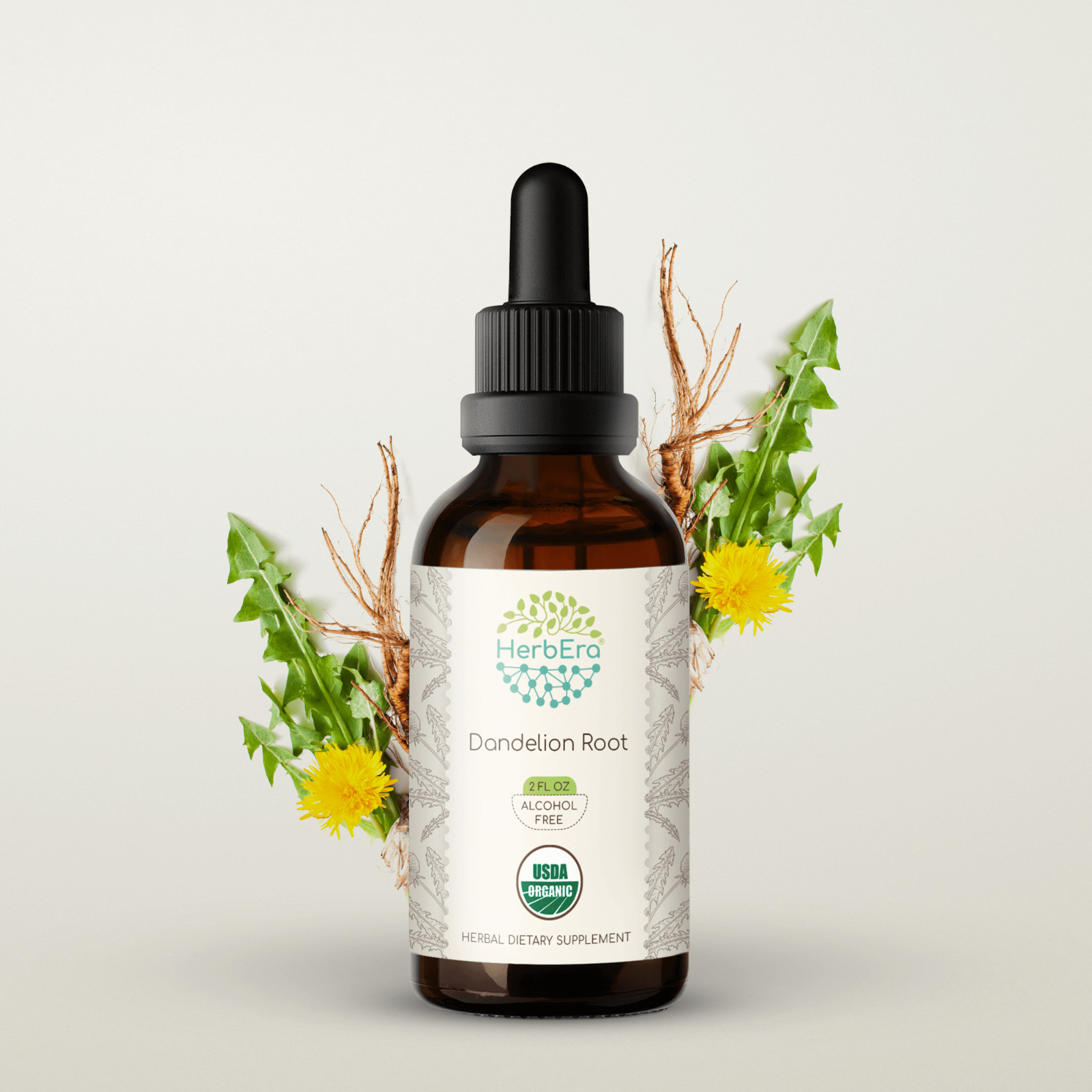 HerbEra Organic Dandelion Root Alcohol-FREE Tincture, (Taraxacum Officinale)