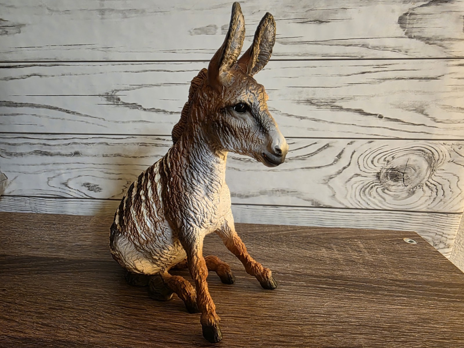 Breyer Dryandra Wild Animal Series 2026 Brighty Donkey Breyer Dryandra Wild Animal Series 2026 Brighty Donkey