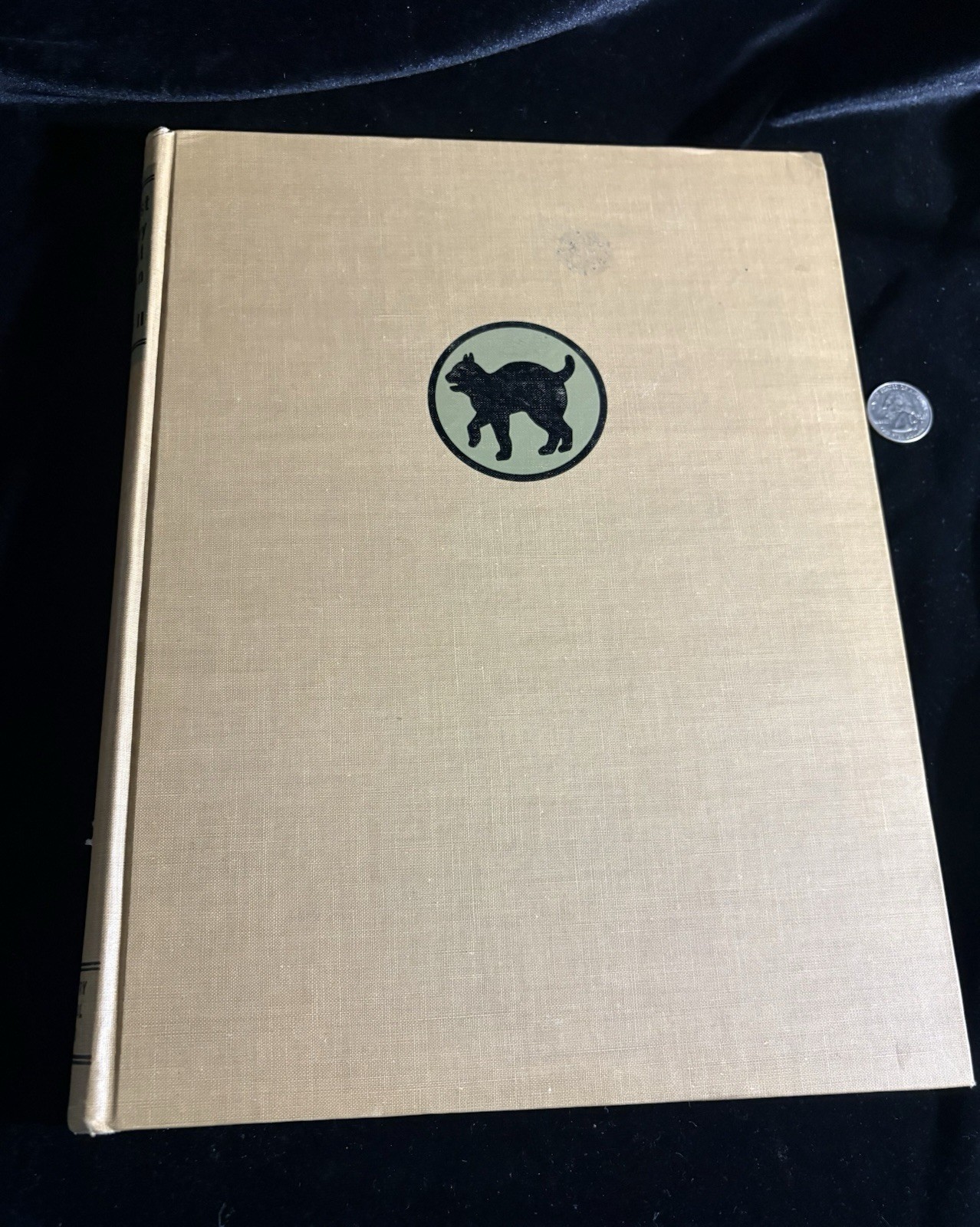 The 81st Infantry Wildcat Division in WWII 1st Edition