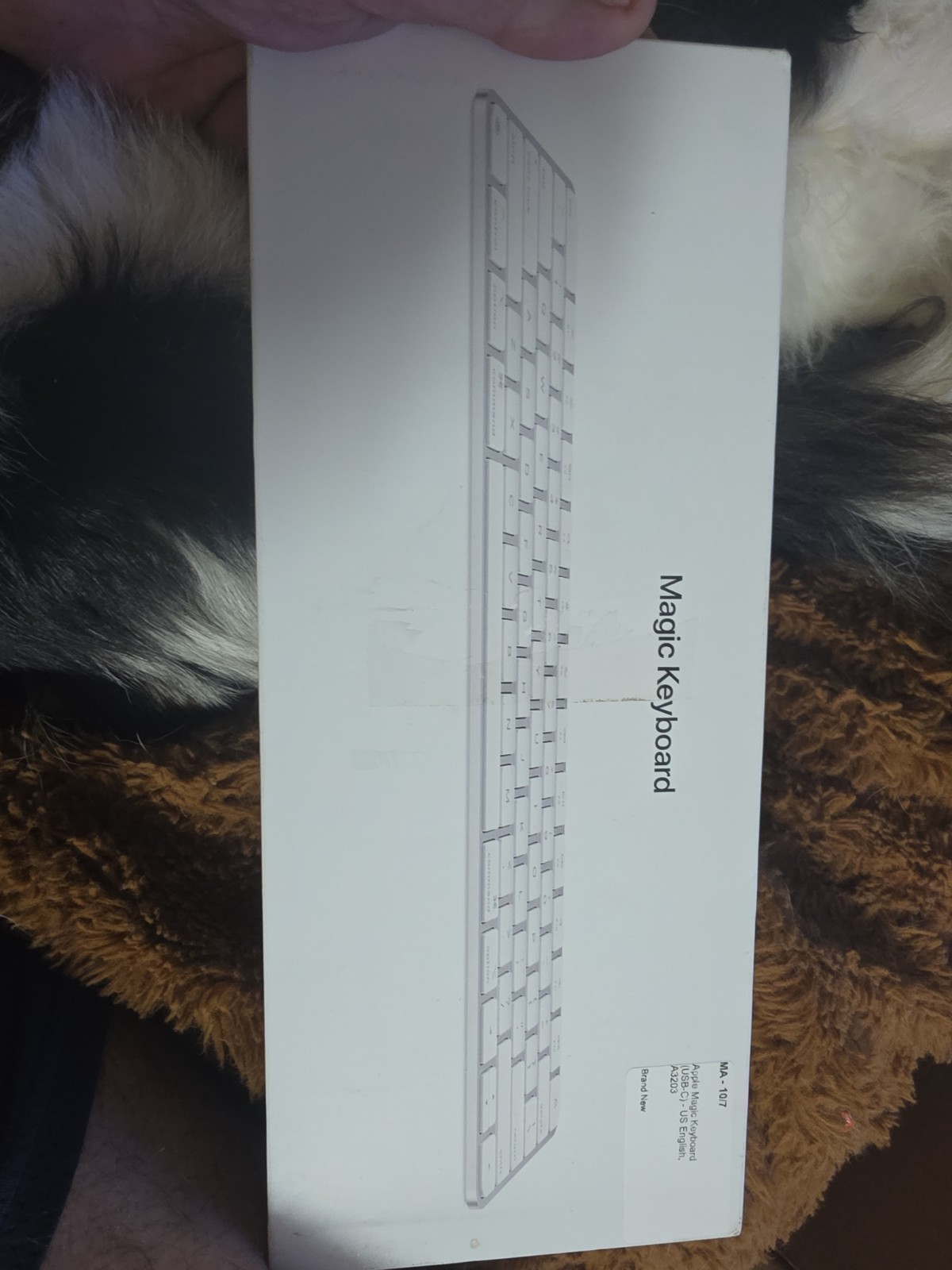 NEW Apple Magic Keyboard MXCL3LL/A Bluetooth Wireless USB-C Charging NEW Apple Magic Keyboard MXCL3LL/A Bluetooth Wireless USB-C Charging