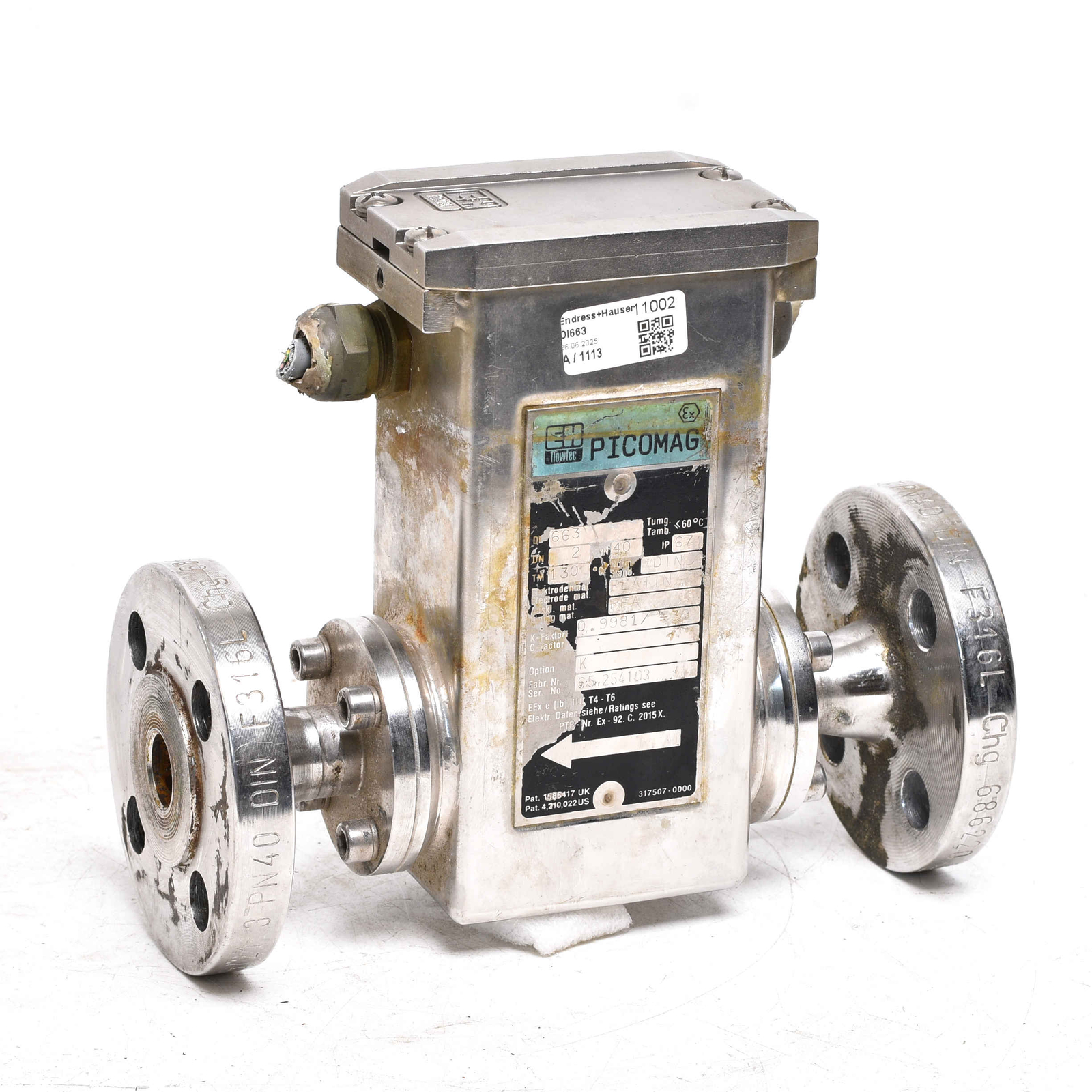 Endress Hauser Picomag DI663 Platinum -used-