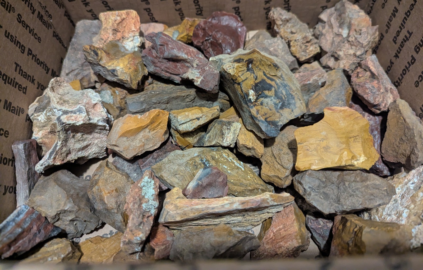 26+ lb Colorado Petrified Wood Bulk Rough – Parker Divide Med Flat Rate Box Full 26+ lb Colorado Petrified Wood Bulk Rough – Parker Divide Med Flat Rate Box Full