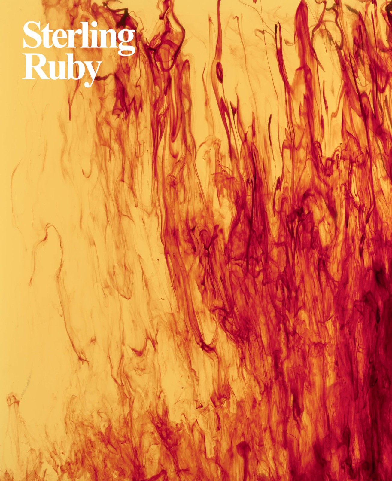 Sterling Ruby, Gartenfeld, Alex,Respini, Eva, Excellent Book