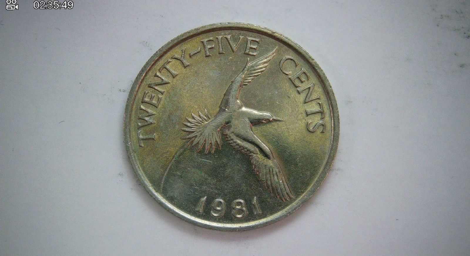 Bermuda 1981 25 Cents Bermuda 25 Cents (Queen Elizabeth II / Tropicbird) Coin Bermuda 1981 25 Cents Bermuda 25 Cents (Queen Elizabeth II / Tropicbird) Coin