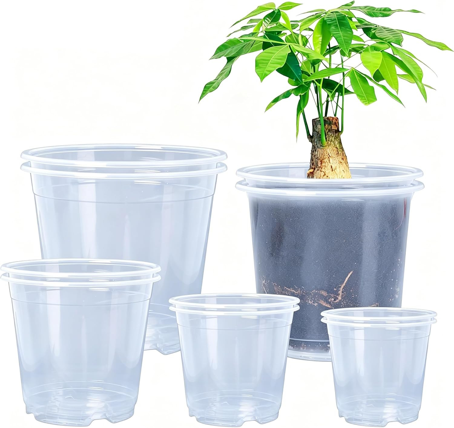 Clear Nursery Pots 10/20 Pack Variety 5 Sizes Drainage Holes Transparent Plastic Clear Nursery Pots 10/20 Pack Variety 5 Sizes Drainage Holes Transparent Plastic