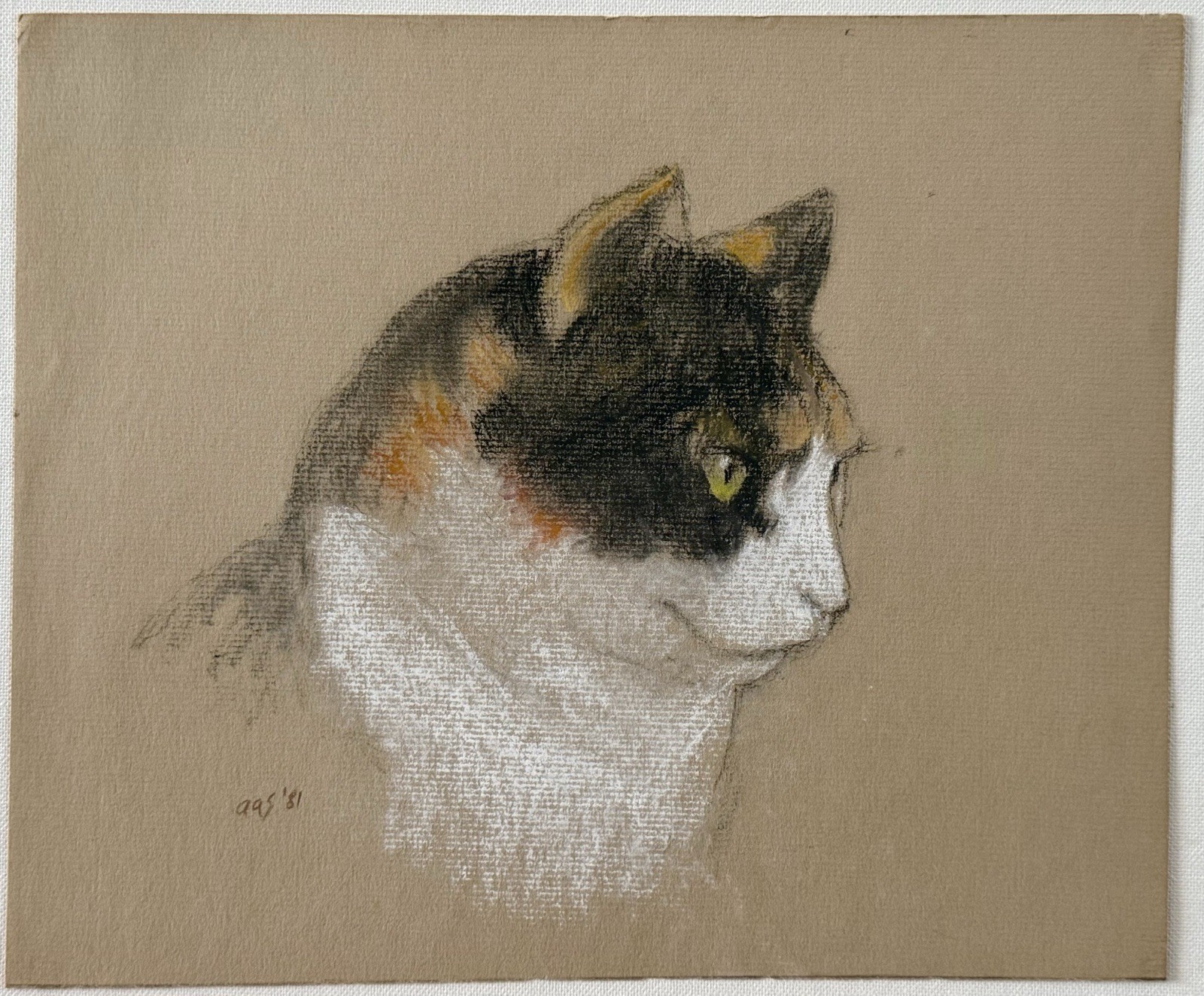 Aaron Shikler Original Pastel & Colored Pencil Drawing – Family Cat – 1981 Topaz