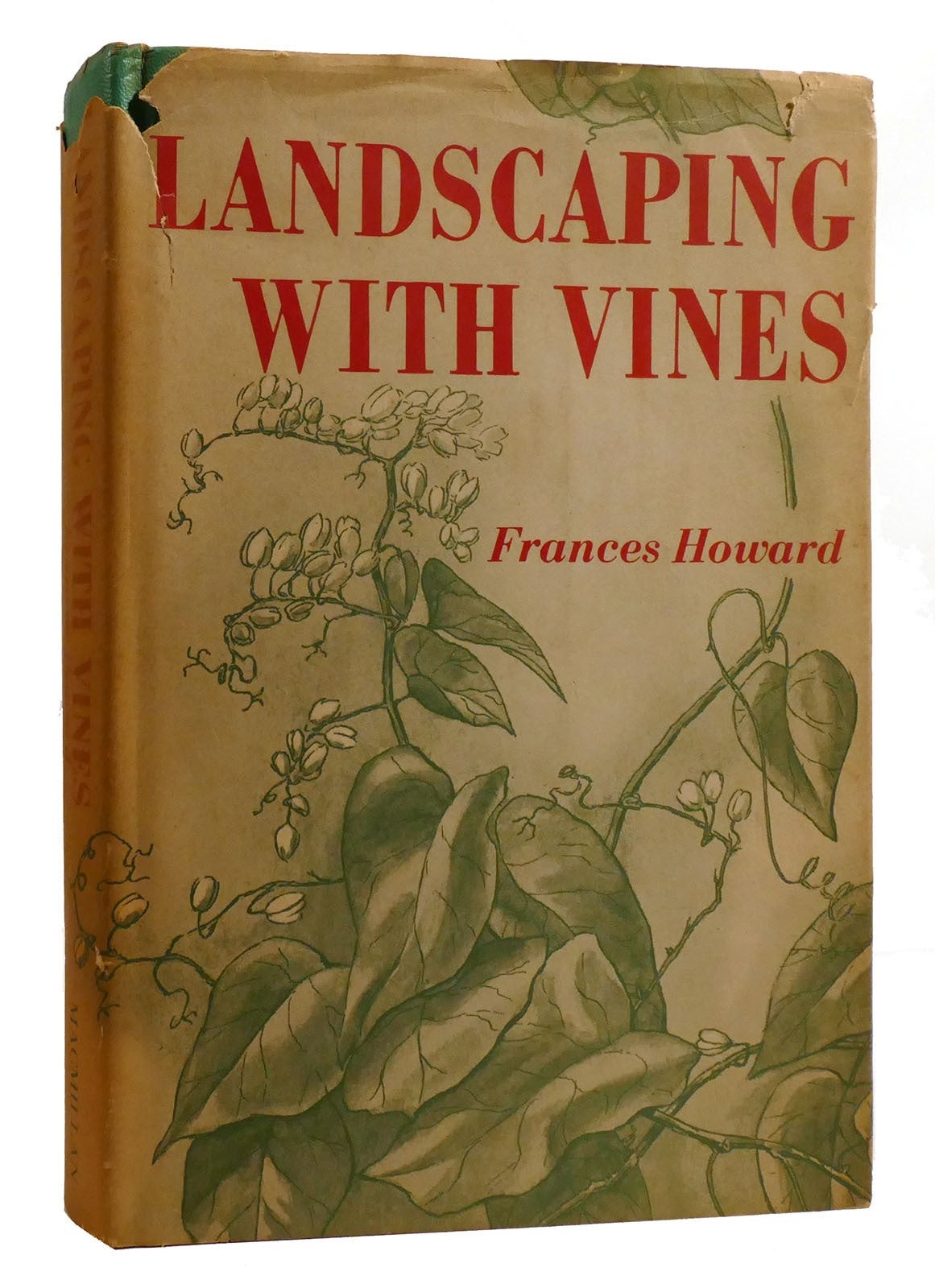 Frances Howard LANDSCAPING WITH VINES Frances Howard LANDSCAPING WITH VINES