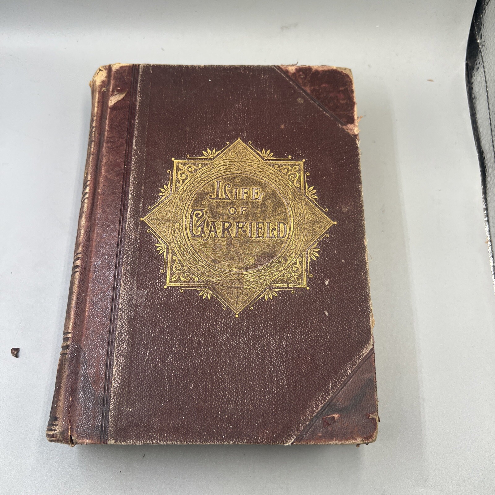 Vintage Life and Work of Garfield Book,1882, Ridpath, Guiteau Assassin, Death