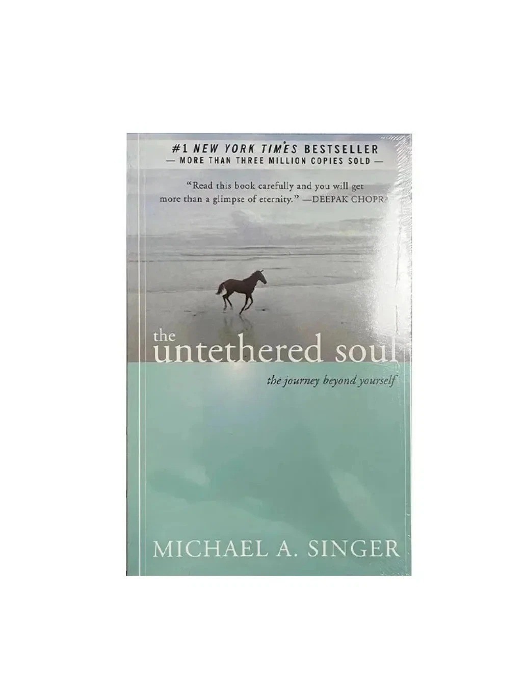 The Untethered Soul: The Journey Beyond Yourself by Michael A Singer: Used