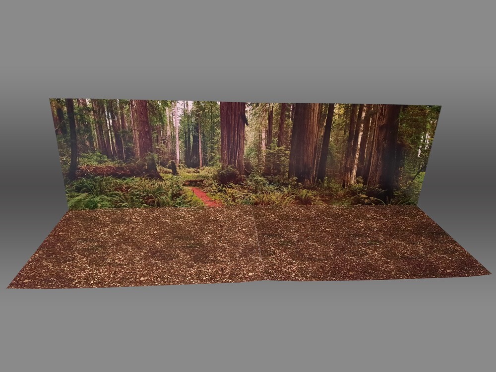 Oversize Endor Forest Backdrop Star Wars TVC Black Series Hasbro Kenner