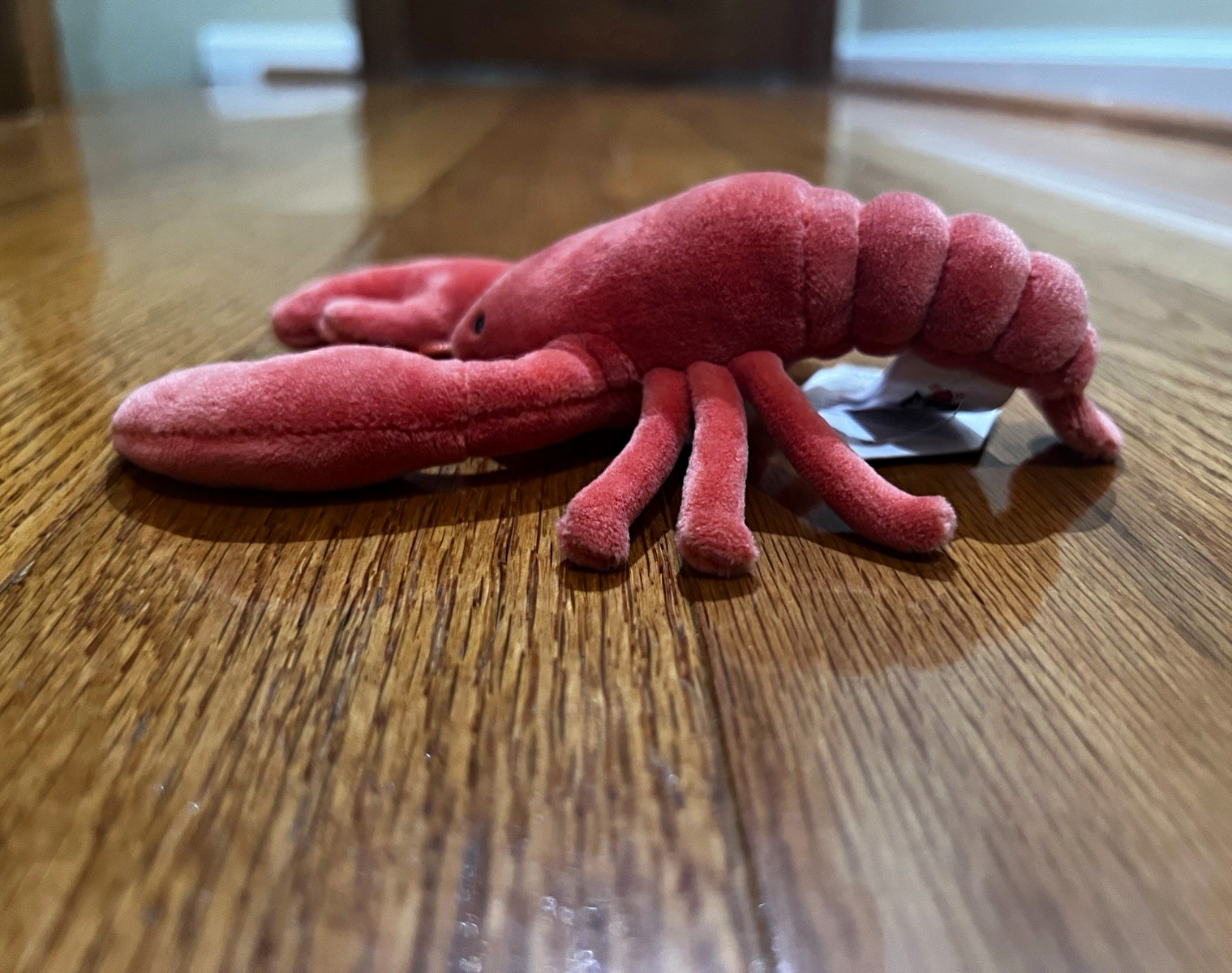 Authentic Jellycat Sensational Lobster Plush Stuffed Animal Red Small SSF4LB Authentic Jellycat Sensational Lobster Plush Stuffed Animal Red Small SSF4LB