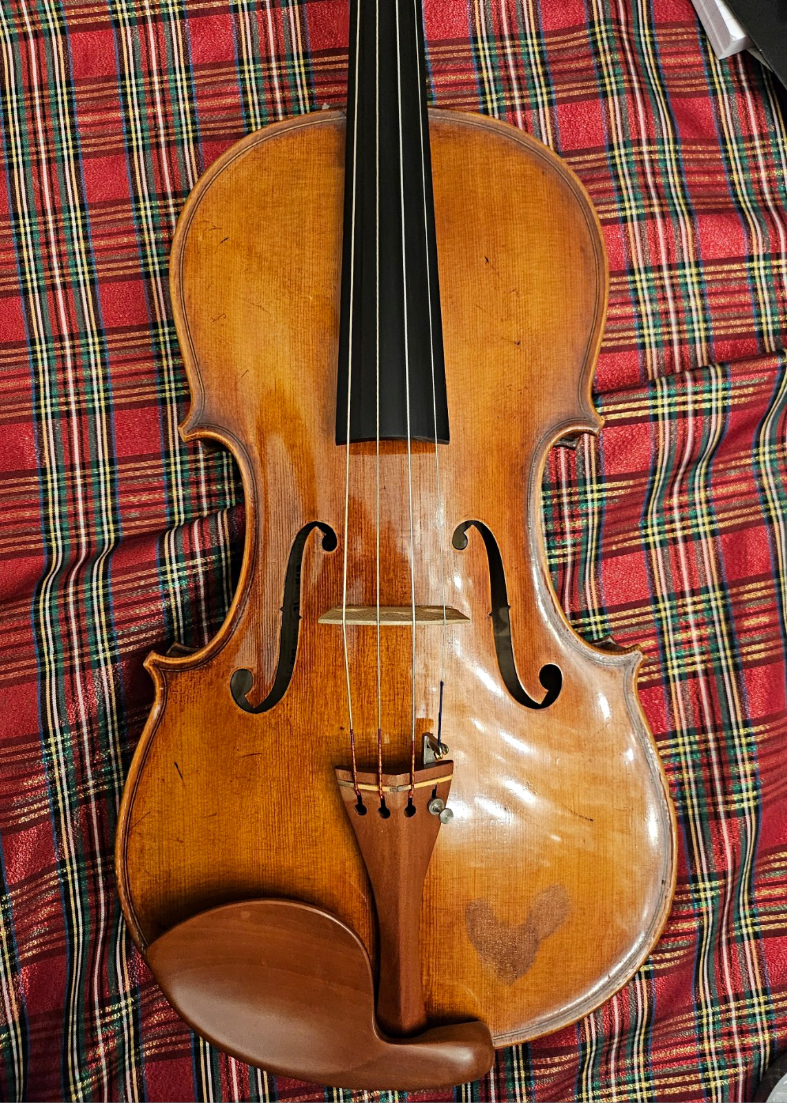 2024 Eastman VA830 30th Anniversary Edition Viola 16 Strad Model- Poplar Back 2024 Eastman VA830 30th Anniversary Edition Viola 16 Strad Model- Poplar Back