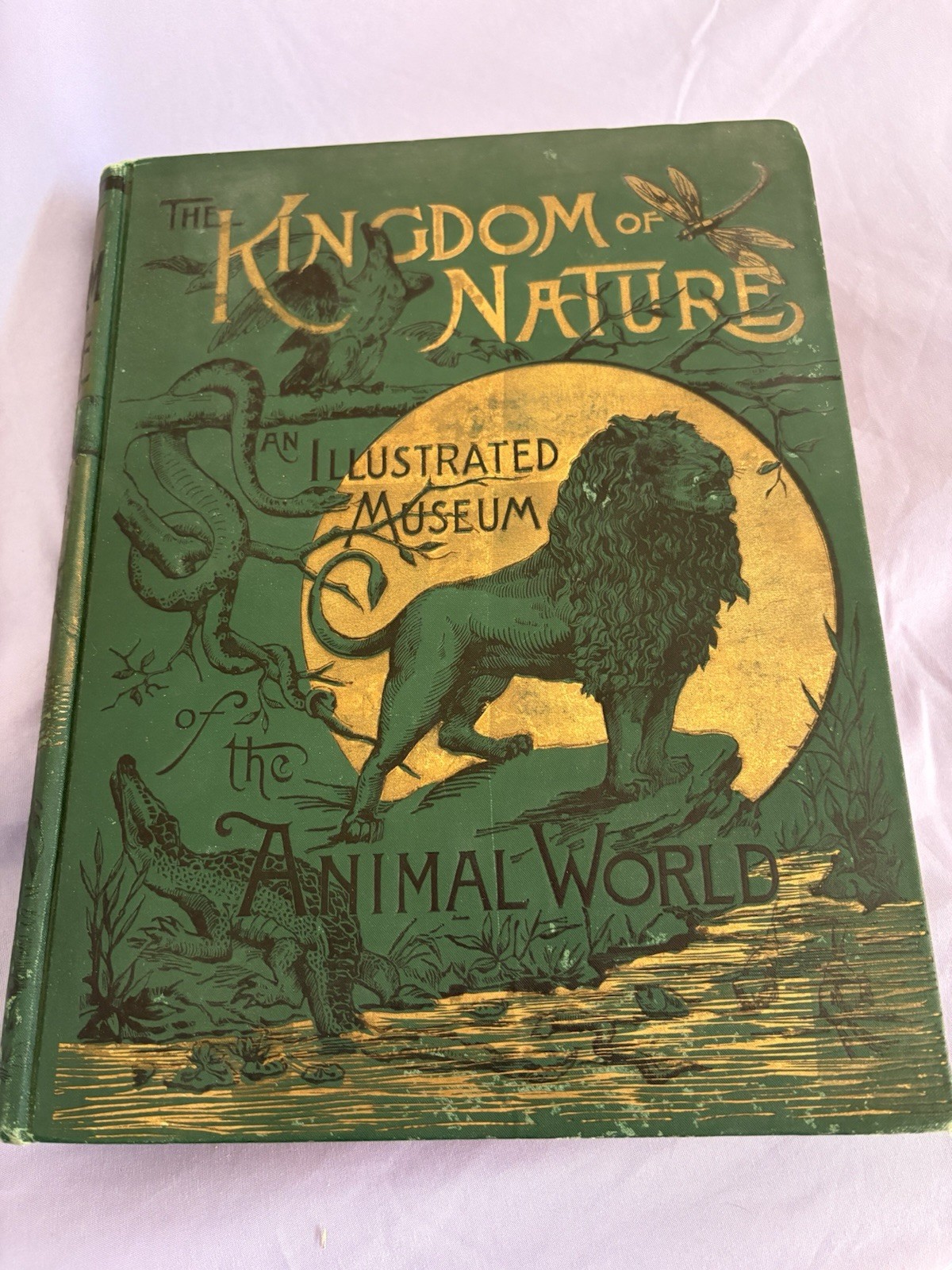Antique 1888 the Kingdom of Nature an Illustrated Museum of the Animal world Antique 1888 the Kingdom of Nature an Illustrated Museum of the Animal world