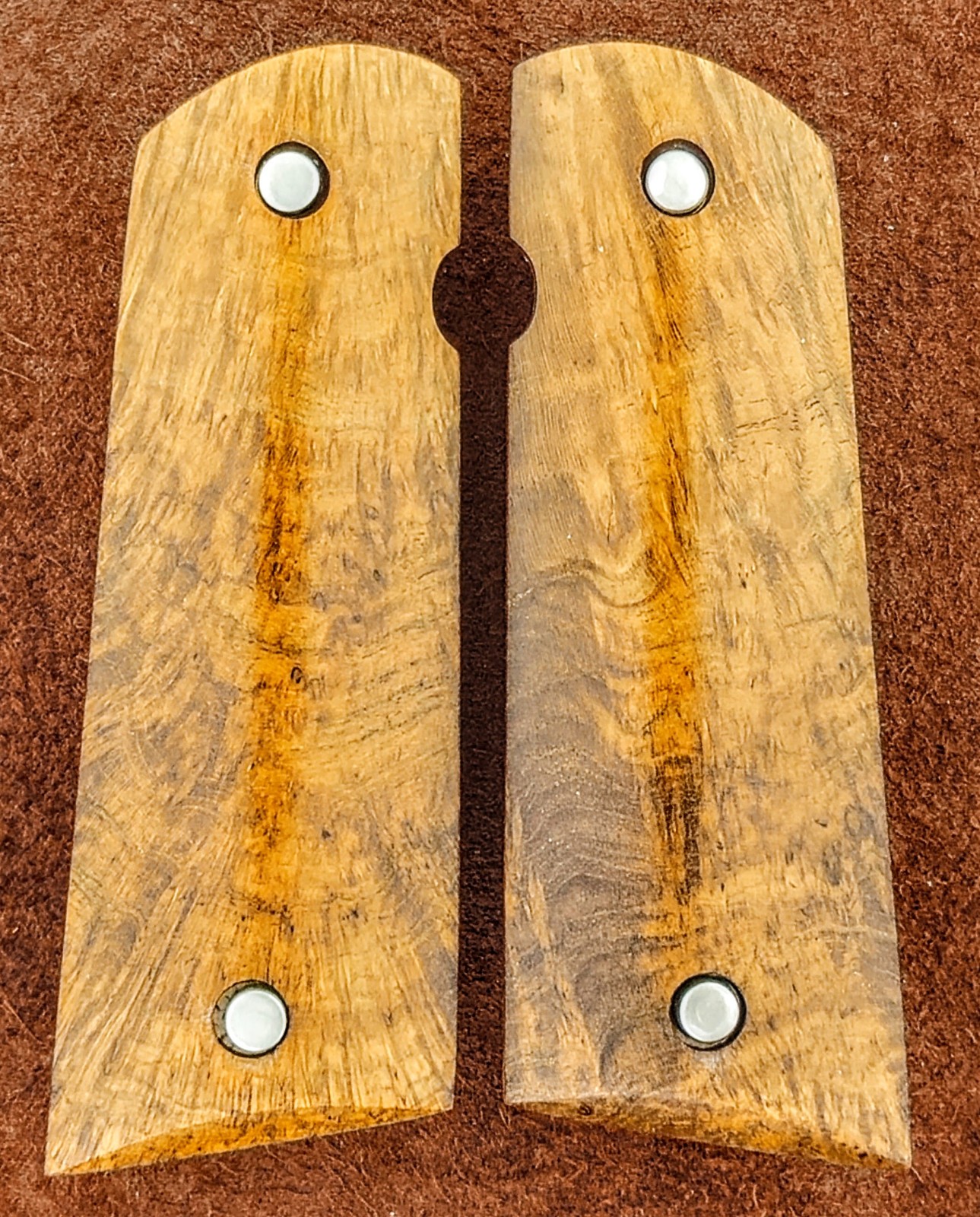 1911 Fullsize Norfolk Island Pine 1911 Fullsize Norfolk Island Pine