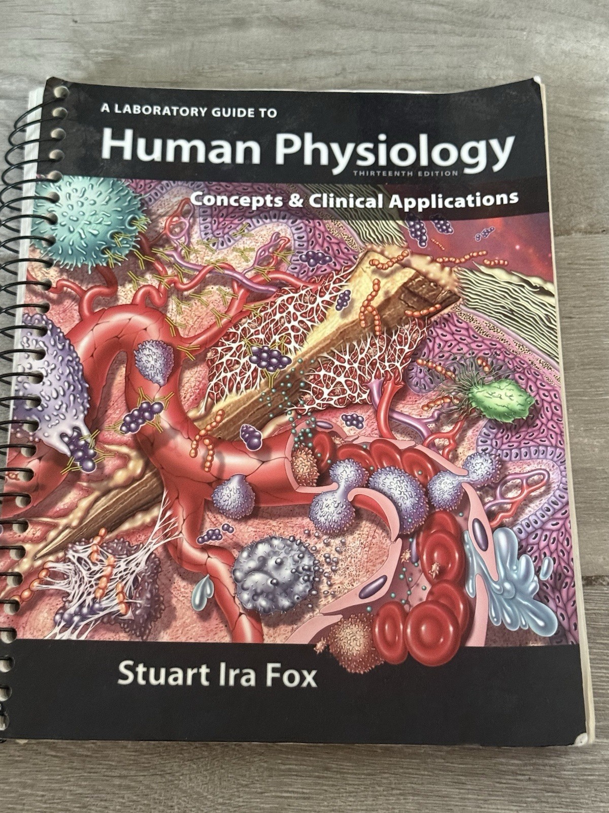 🧪 Laboratory Manual Human Physiology 13th Edition Thirteenth 9780077427320 🧪 Laboratory Manual Human Physiology 13th Edition Thirteenth 9780077427320