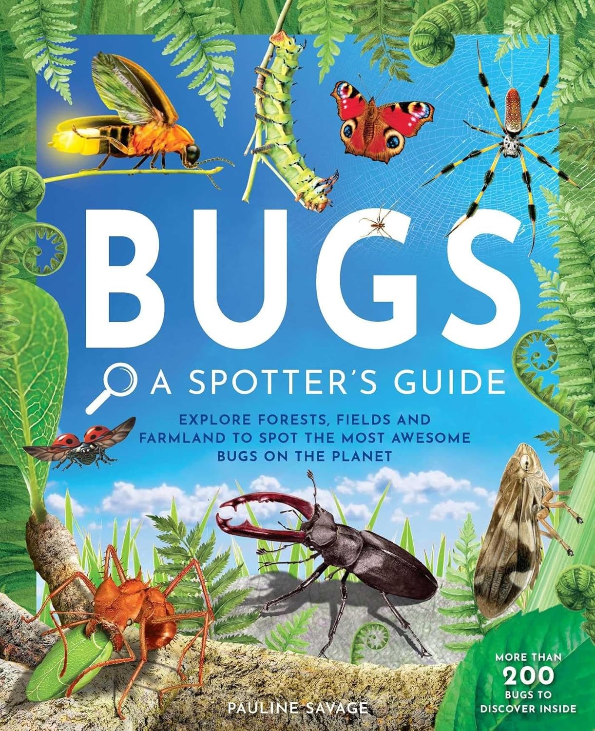 Bugs: A Spotter\'s Guide Hardcover by Pauline Savage Bugs: A Spotter\'s Guide Hardcover by Pauline Savage
