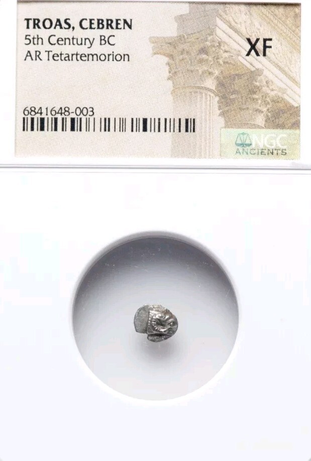 Troas Cebren Tetartemorion Ram Head NGC XF Ancient Silver Coin Troas Cebren Tetartemorion Ram Head NGC XF Ancient Silver Coin