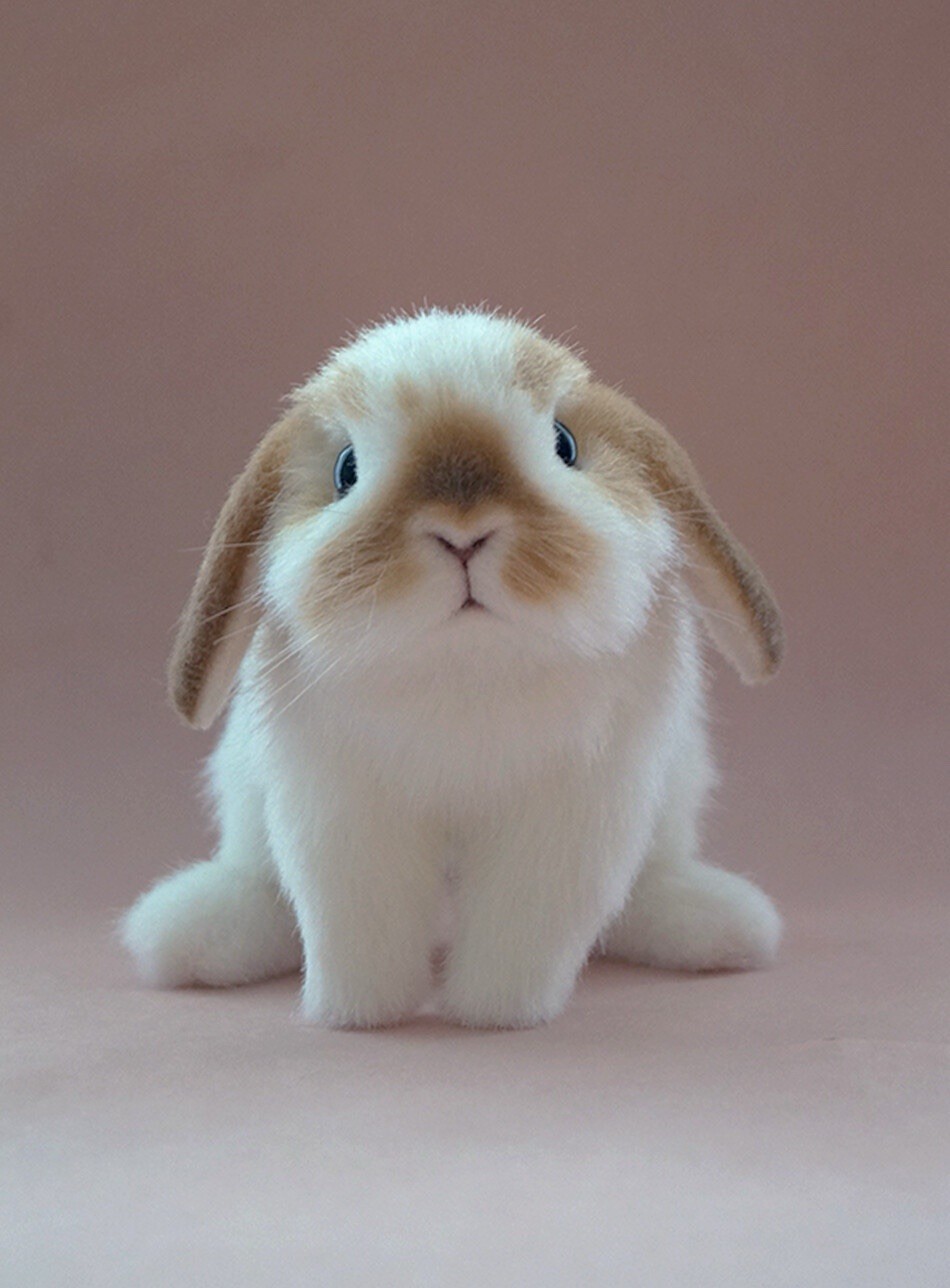 OAAK Realistic Lop Eared Bunny Rabbit Artist Soft Sculpture Decor OAAK Realistic Lop Eared Bunny Rabbit Artist Soft Sculpture Decor