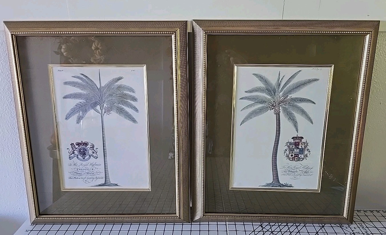 Set Of Two Framed Georg Dionysius Ehret Illustrations Framed Art Frederick Palm Set Of Two Framed Georg Dionysius Ehret Illustrations Framed Art Frederick Palm