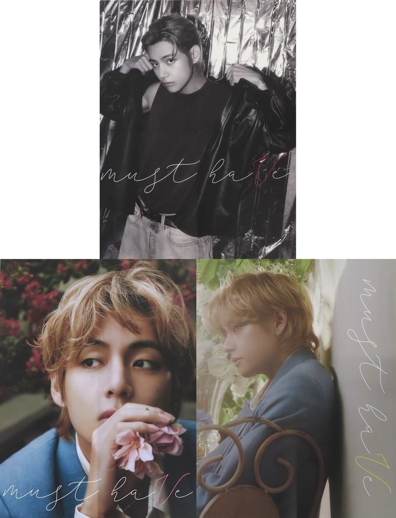 BTS V Poster 3-Piece Set DICON Issue N°16 V:VICON Japan Used Japan