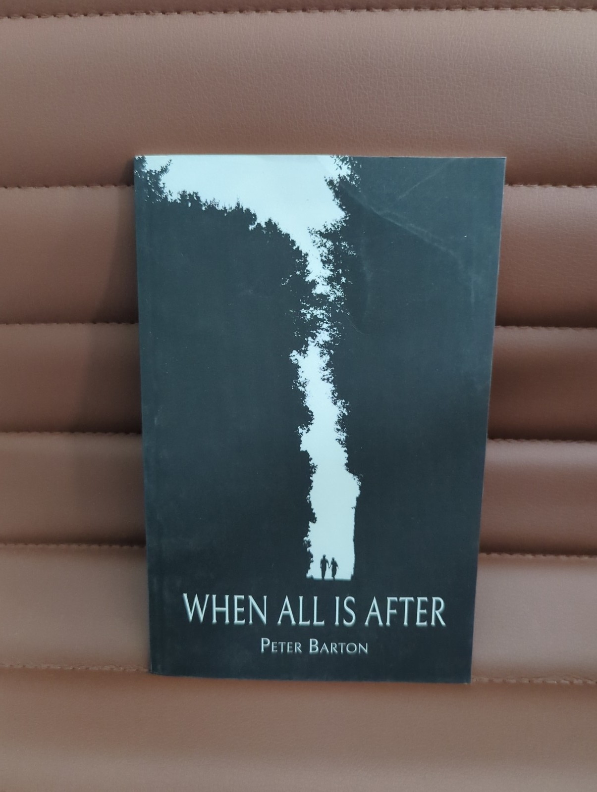 When All Is After by Peter Barton 2023 First Edition