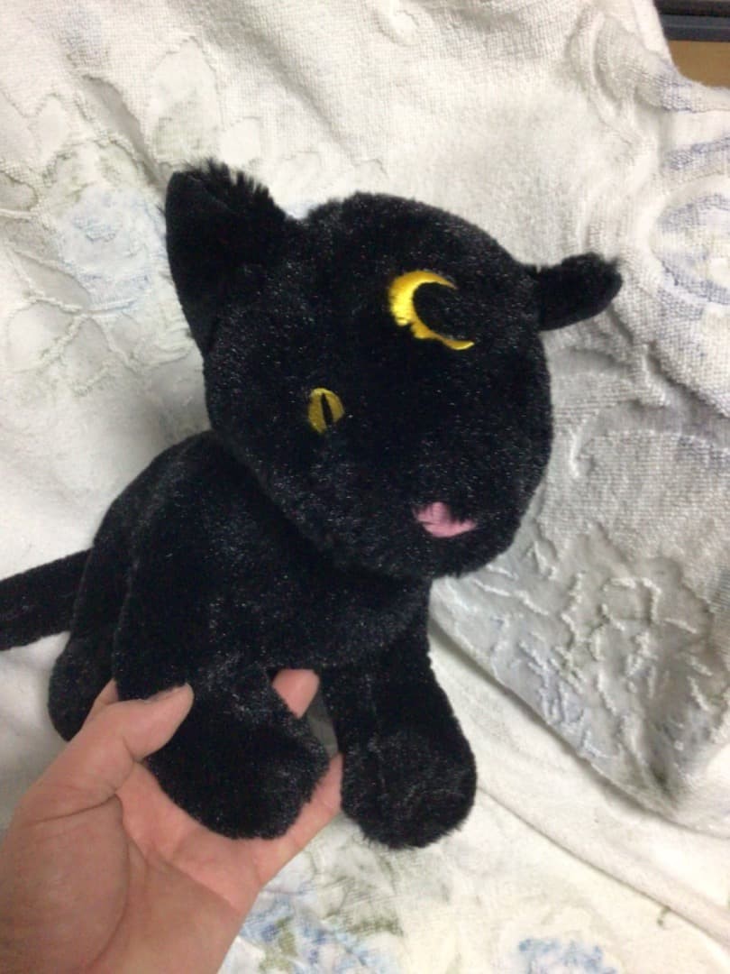 KILLSTAR Binx Black Luna