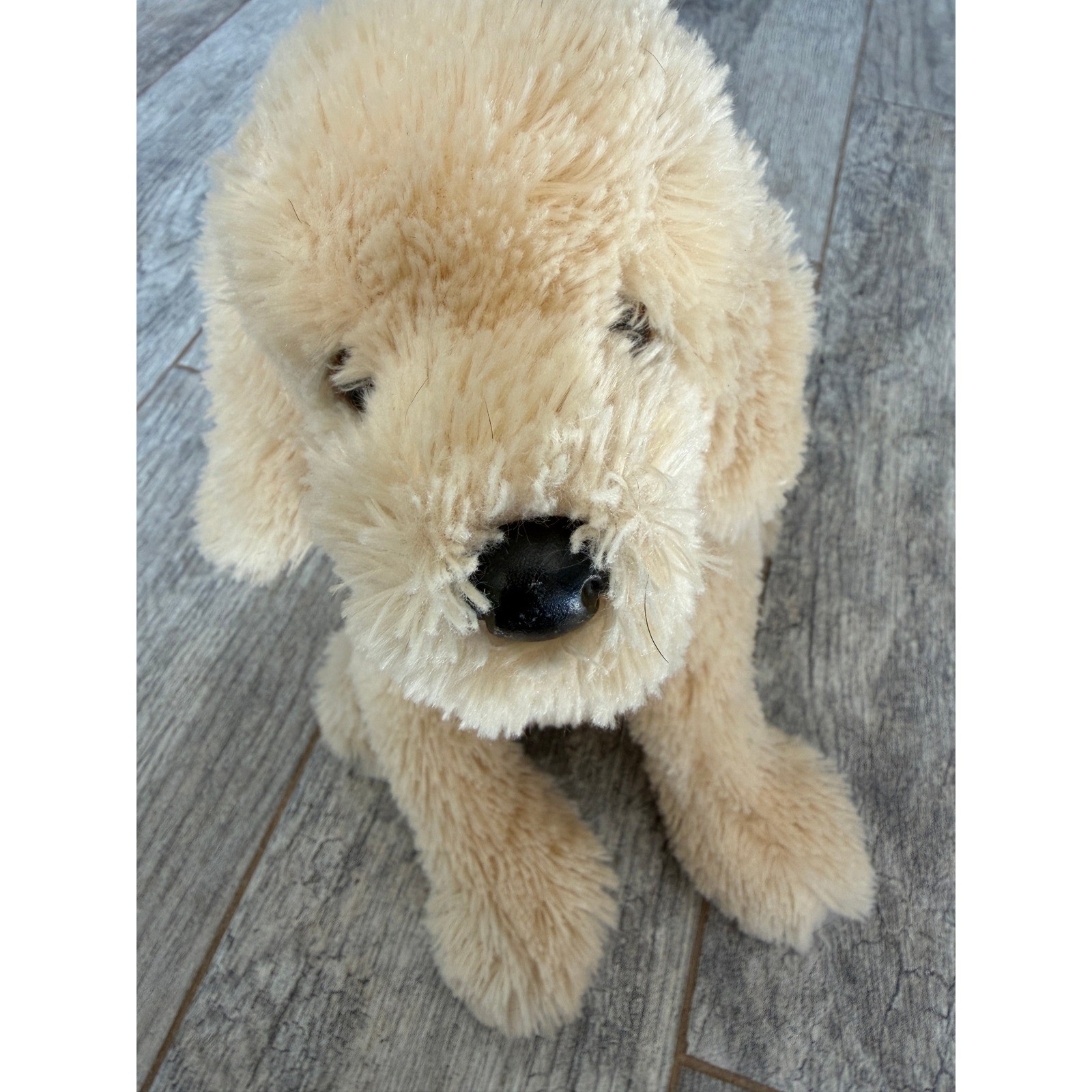 Douglas Plush Dog Golden Retriever Labradoodle Stuffed Animal 532C Puppy Toy 12\