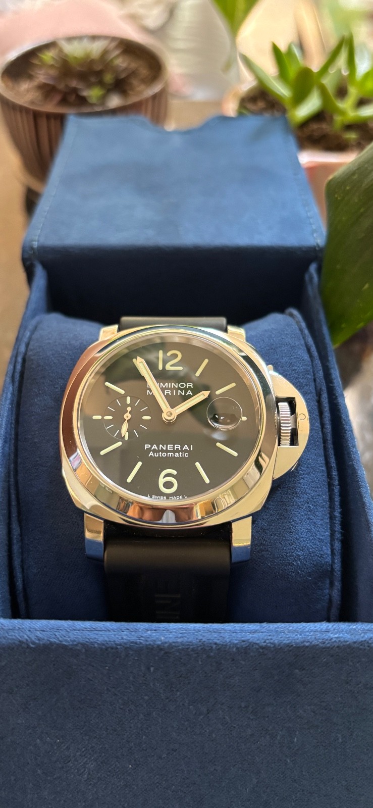 Panerai Luminor Marina PAM00104 Automatic Black Dial With Authentication Report