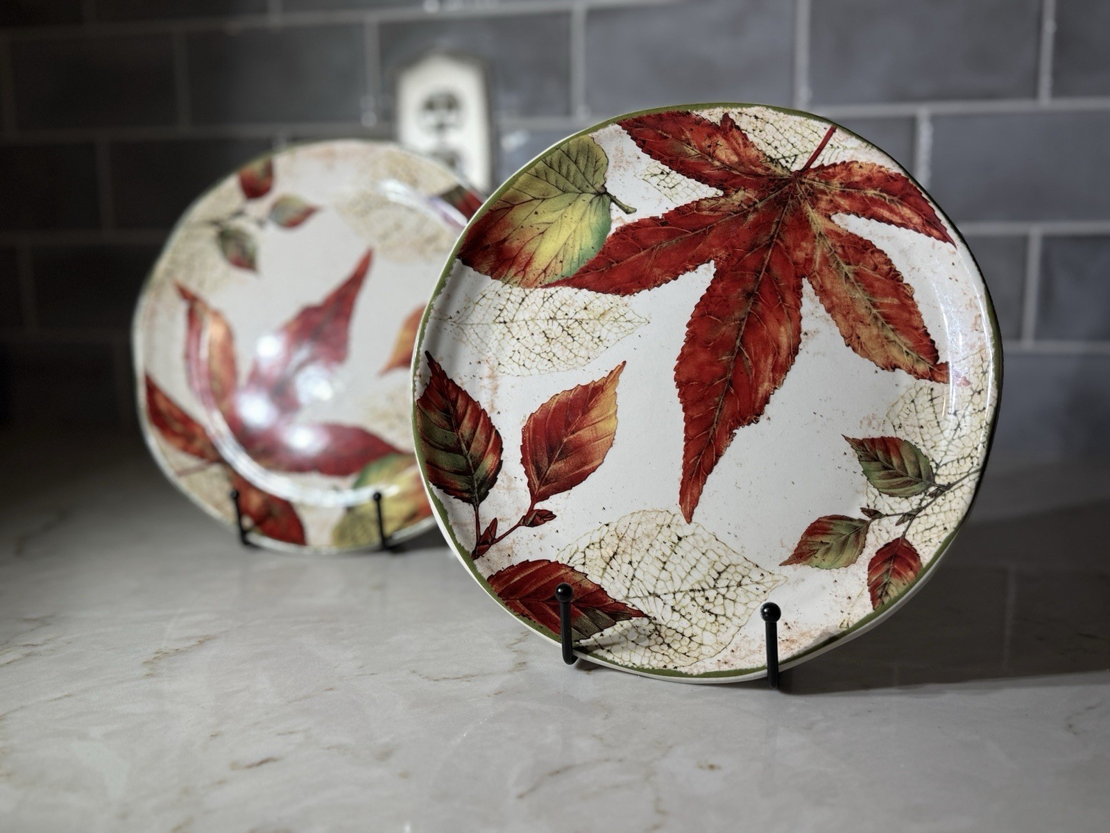Pier 1 Asheville Salad Plates Set of 2 8.75\