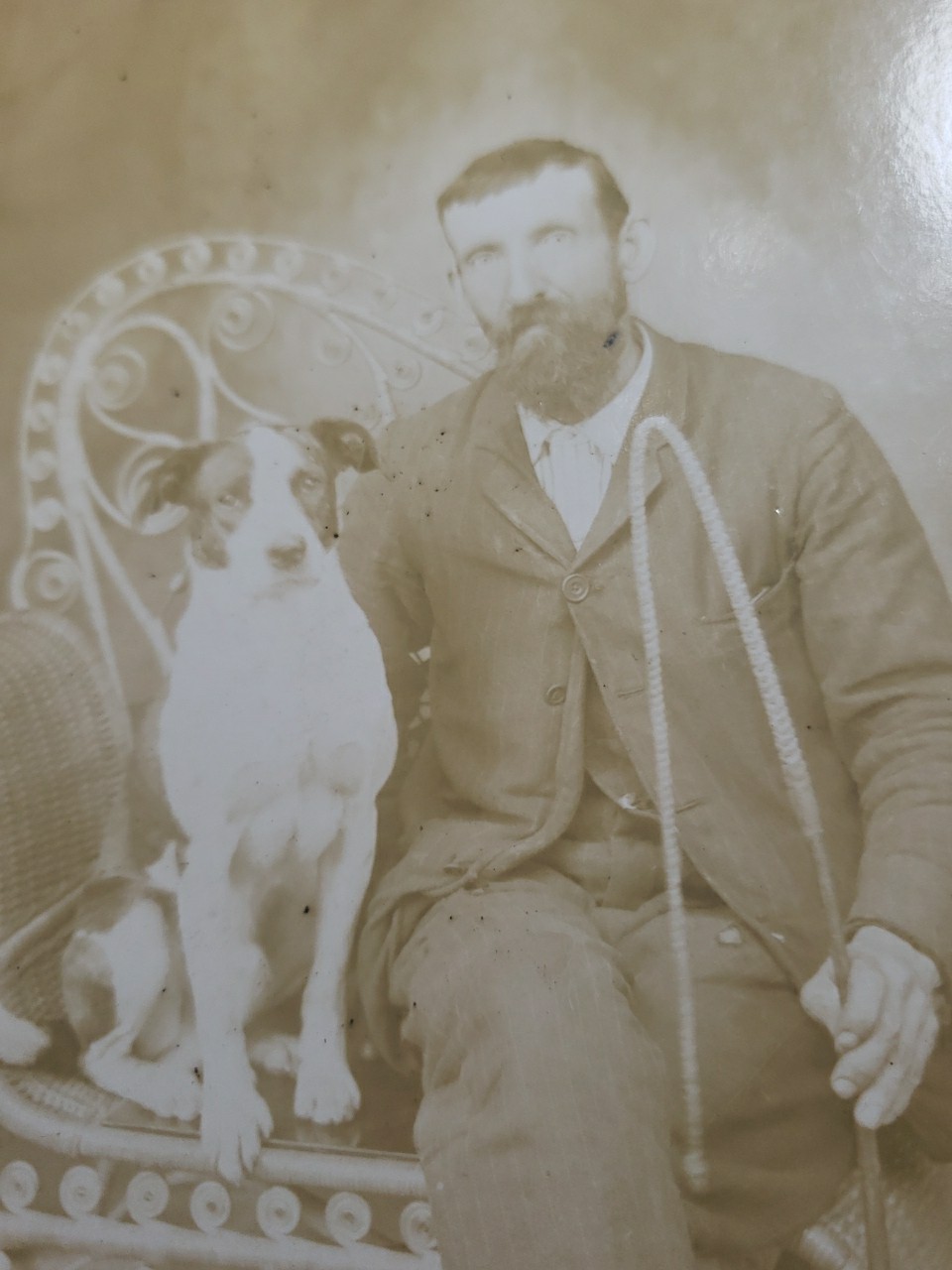 Antique 1890s Cabinet Card Photo \