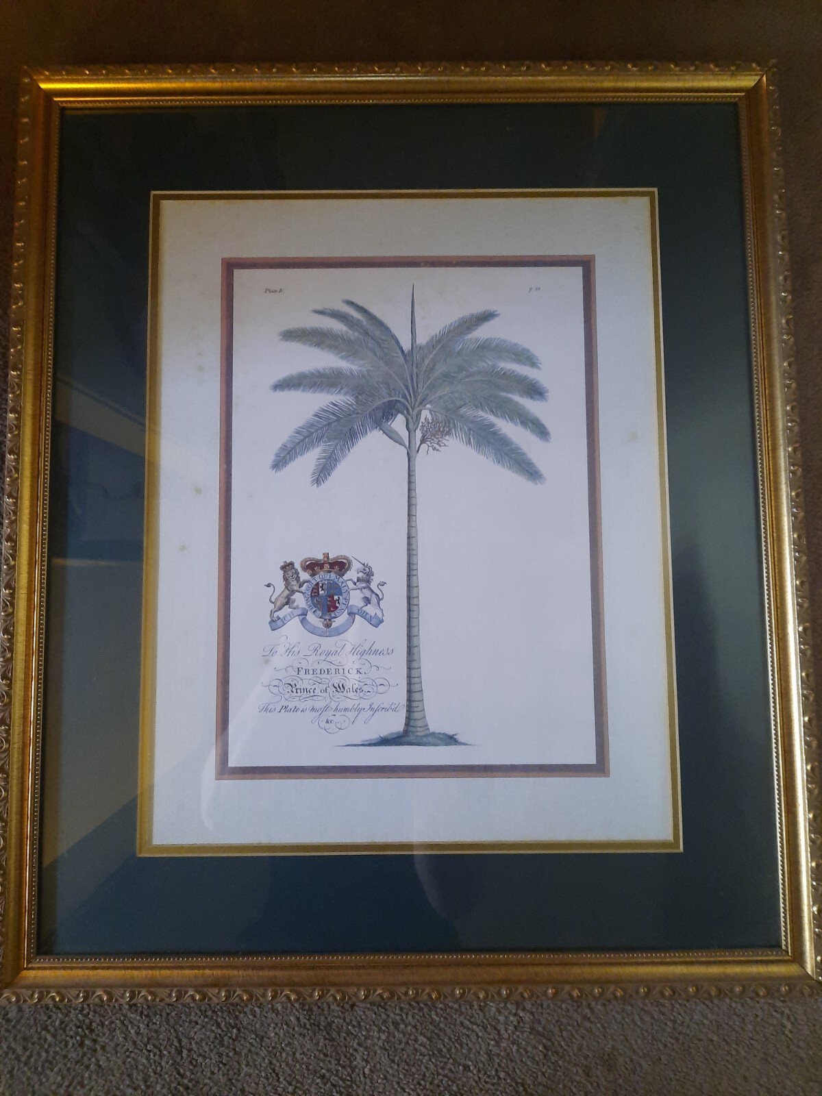 Dionysius Palms Print, Georg Dionysius Ehret, Frederick Prince Of Wales. 26 x 22