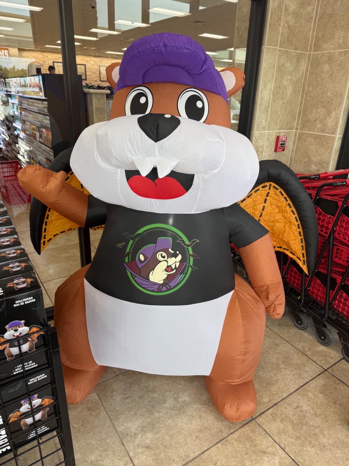 NEW 2026 Buc-ee's Halloween Lights up Inflatable Beaver with Wings NEW 2026 Buc-ee's Halloween Lights up Inflatable Beaver with Wings