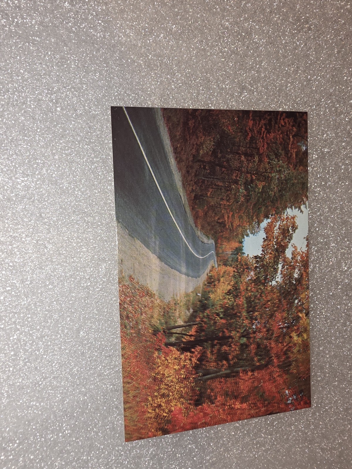 Postcard fall foliage postcard Autumn Greetings Halloween Leaves Scenic Road USA