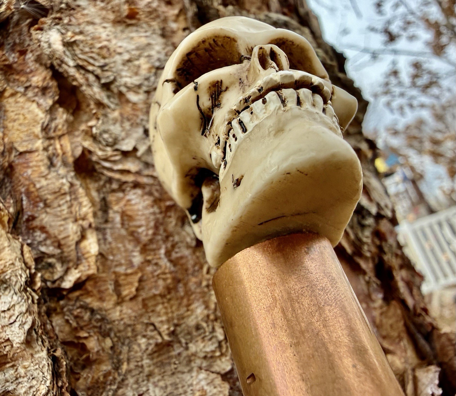 Vintage 1990 Voodoo Skull Bamboo Accessory Decor 39\
